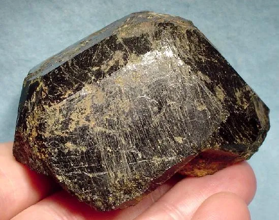 Uvite image