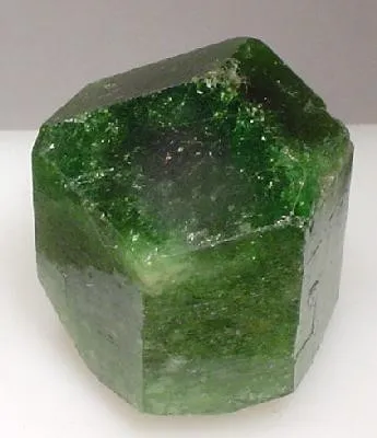Uvite image
