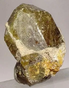 Uvite image