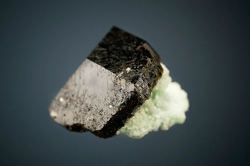 Uvite - image 5