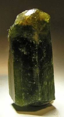 Uvite image