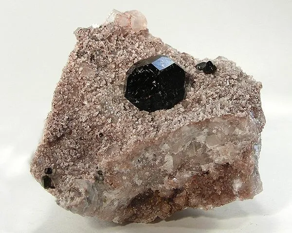 Uvite image