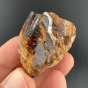 Uvite - image 2