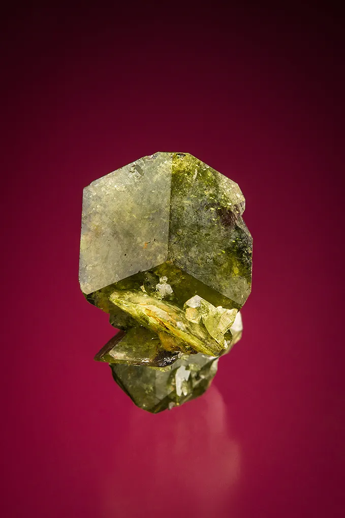 Uvite image