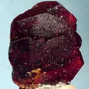 Uvite - image 2