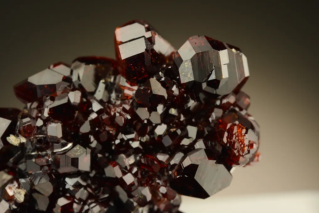Uvite - image 2
