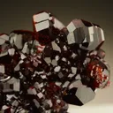 Uvite - image 2
