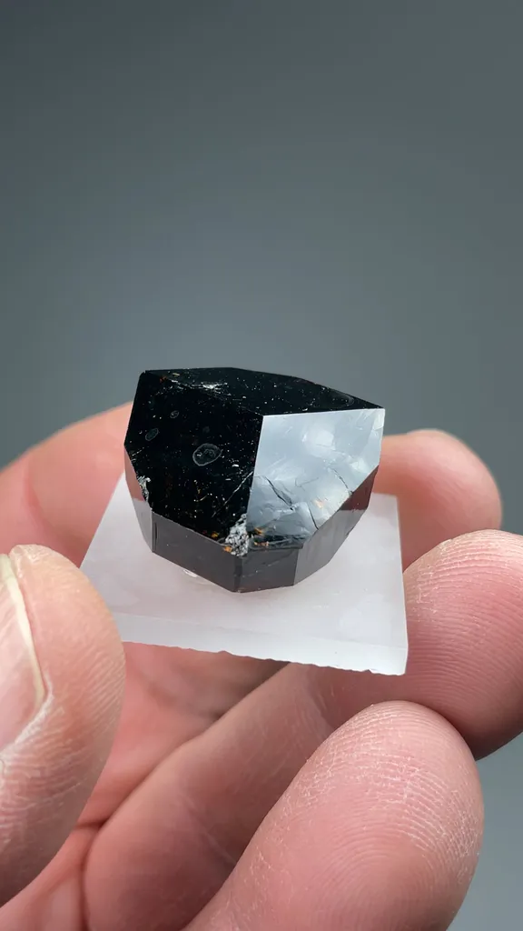 Uvite - image 2