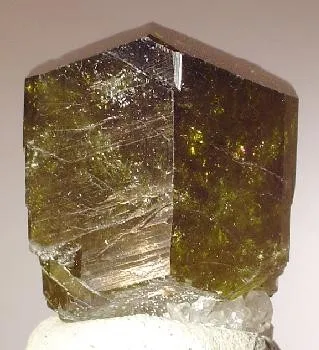 Uvite image