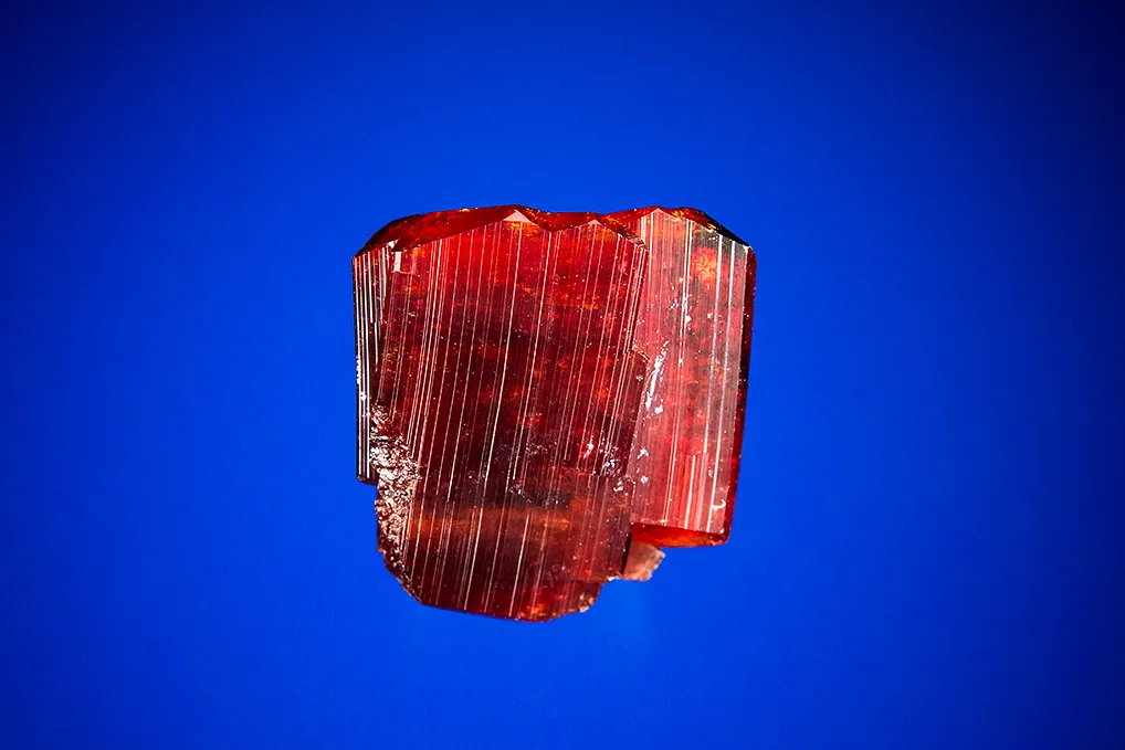 Uvite image