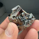 Uvite - image 2