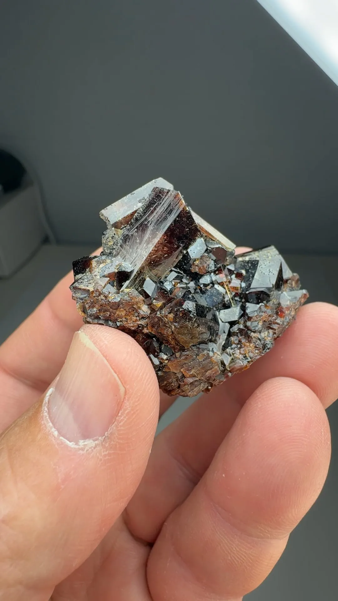Uvite - image 2
