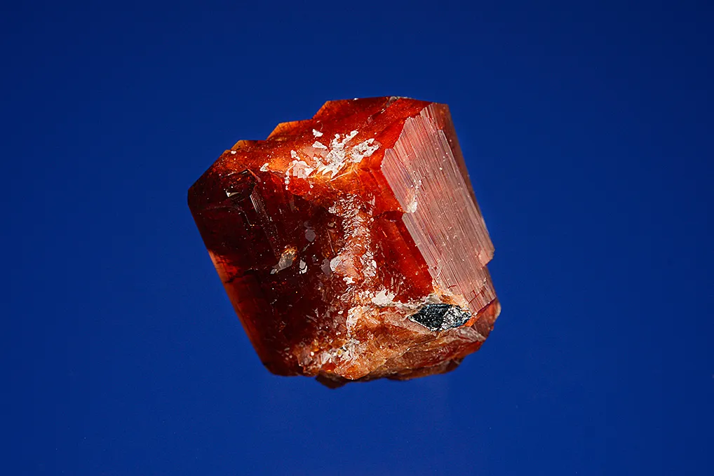 Uvite - image 2