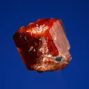 Uvite - image 2