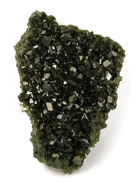 Uvite image