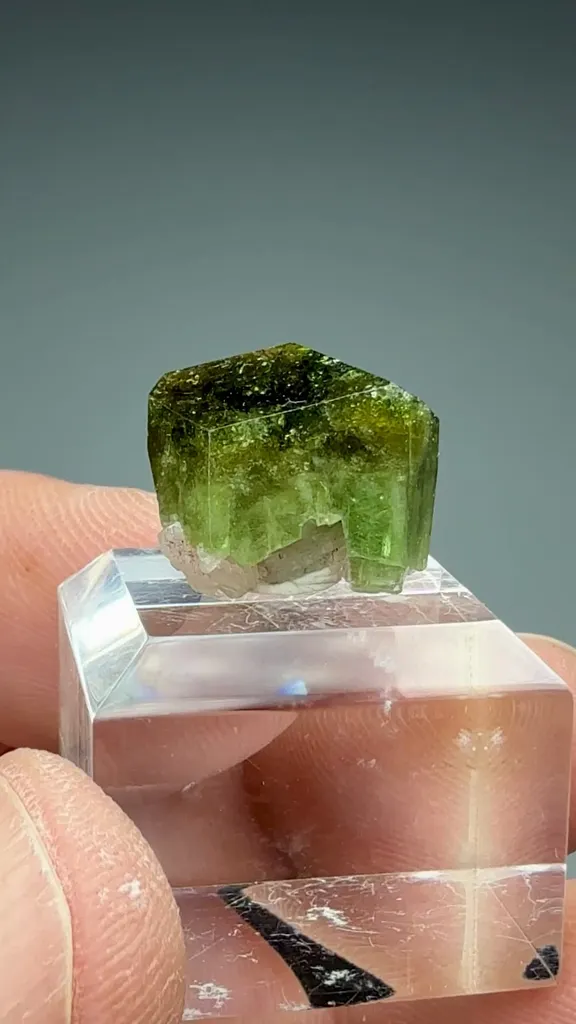 Uvite - image 2
