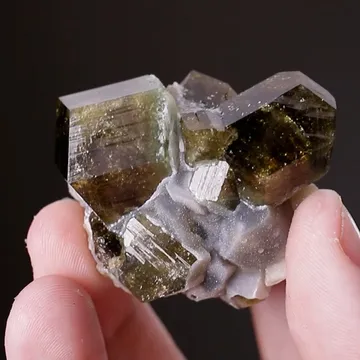 Uvite