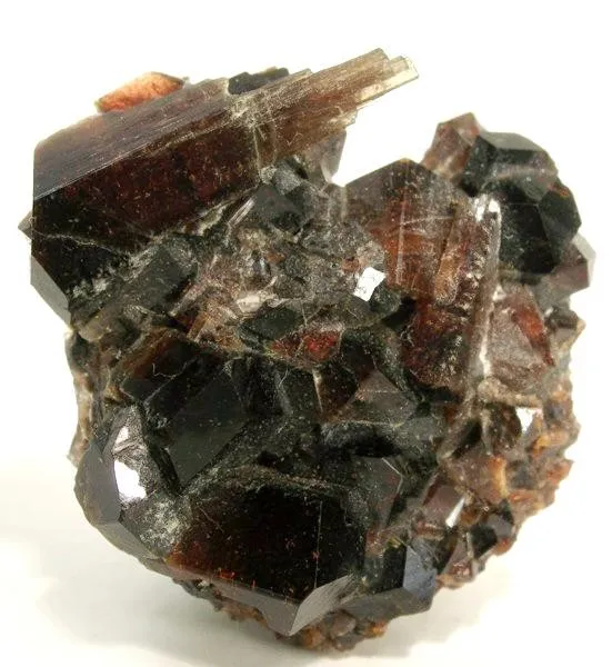 Uvite image