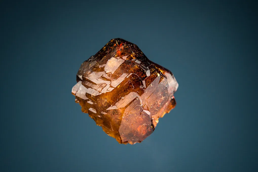 Uvite image