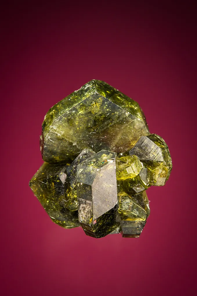 Uvite image