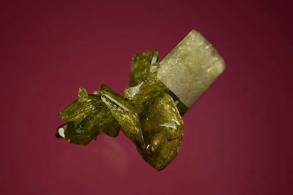 Uvite - image 3