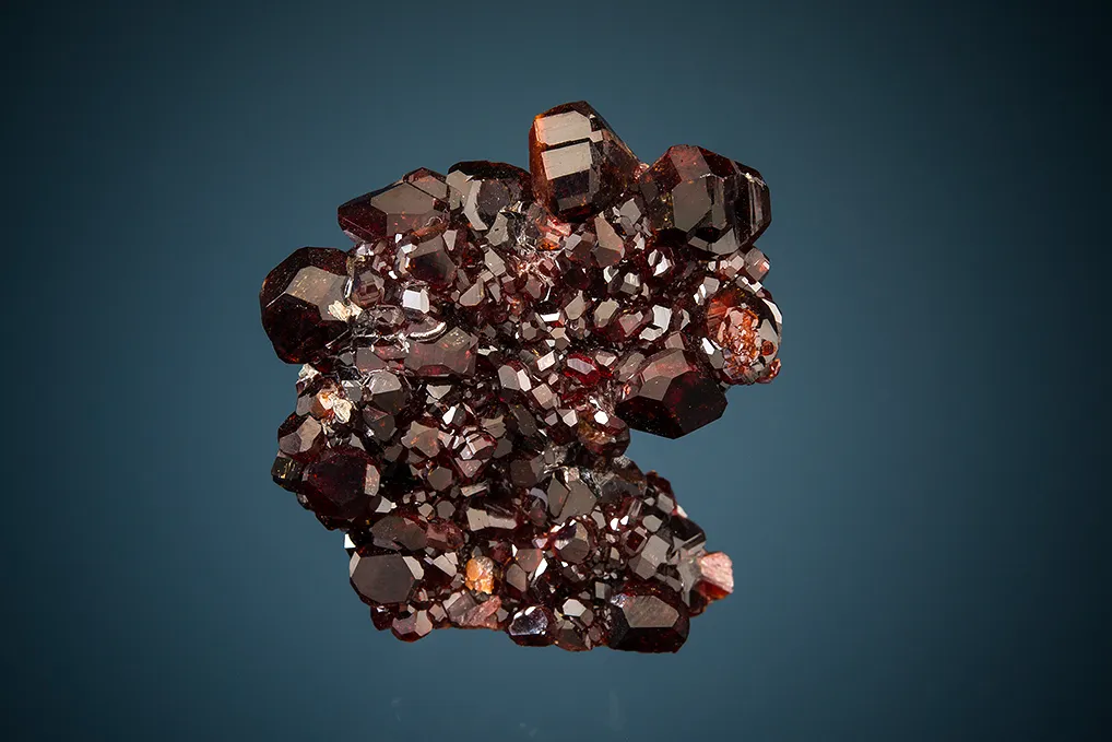 Uvite image
