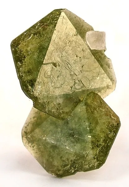 Uvite image