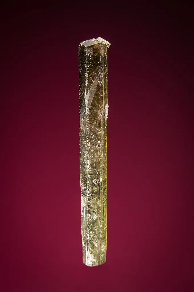 Uvite image