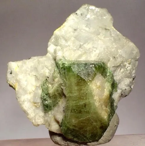 Uvite image