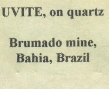 Uvite - image 6