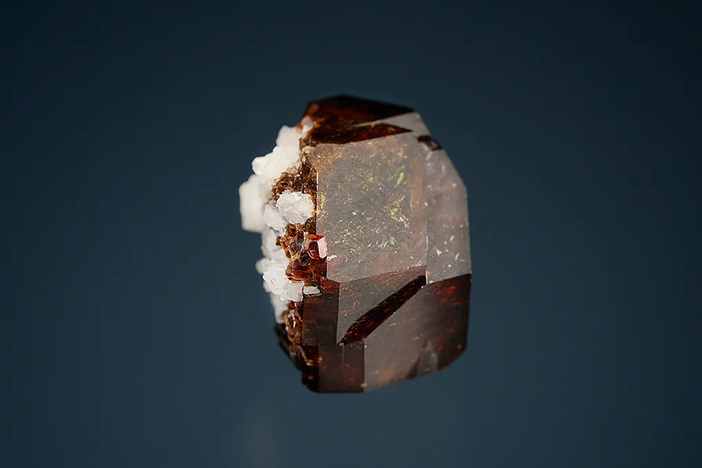 Uvite - image 2