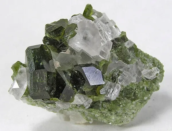 Uvite image