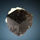Uvite - image 2