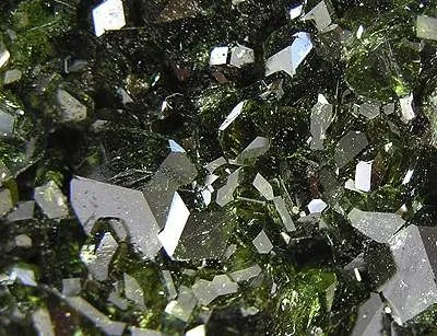 Uvite - image 2