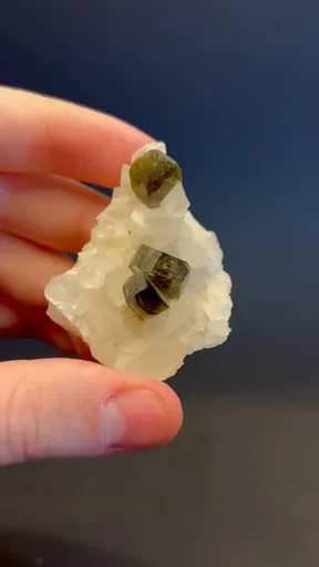 specimen video