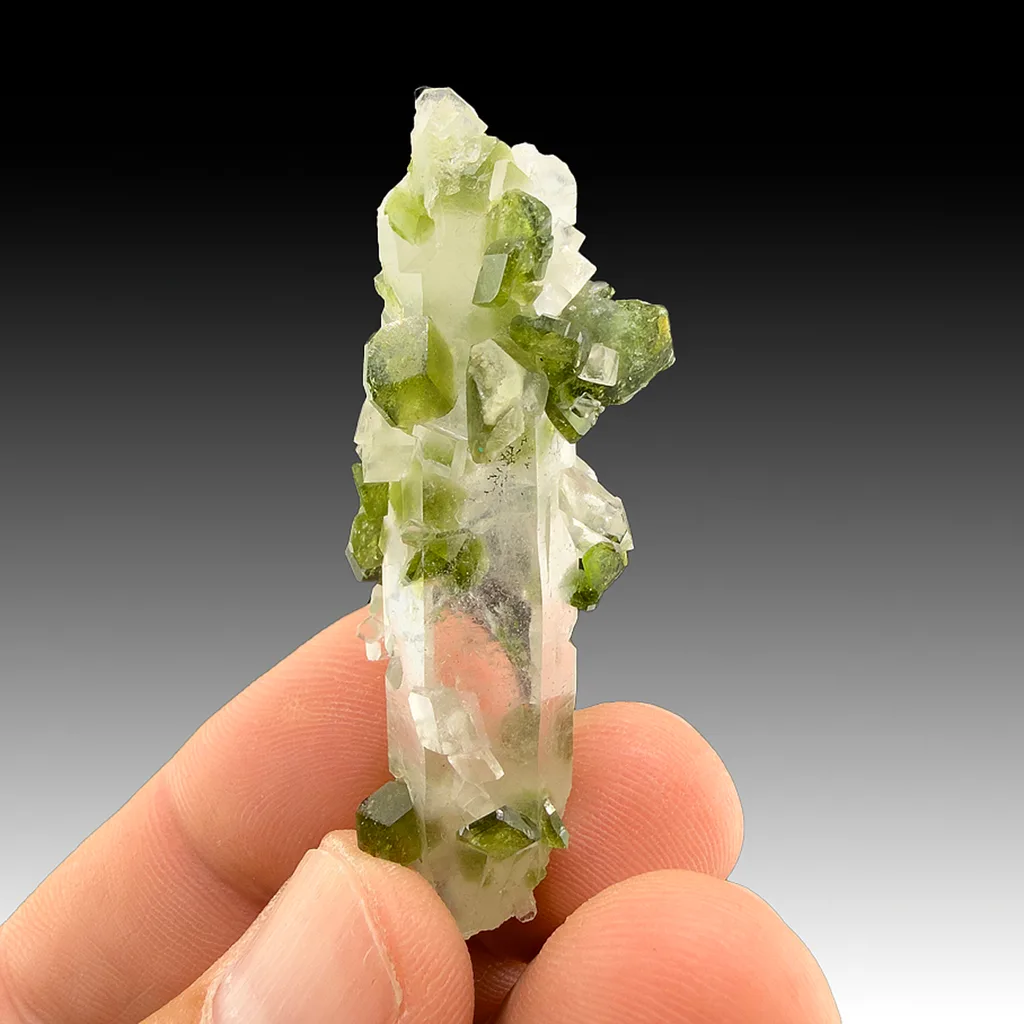 Uvite with Quartz, Magnesite image