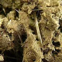 Valentinite - image 3