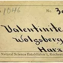 Valentinite - image 4