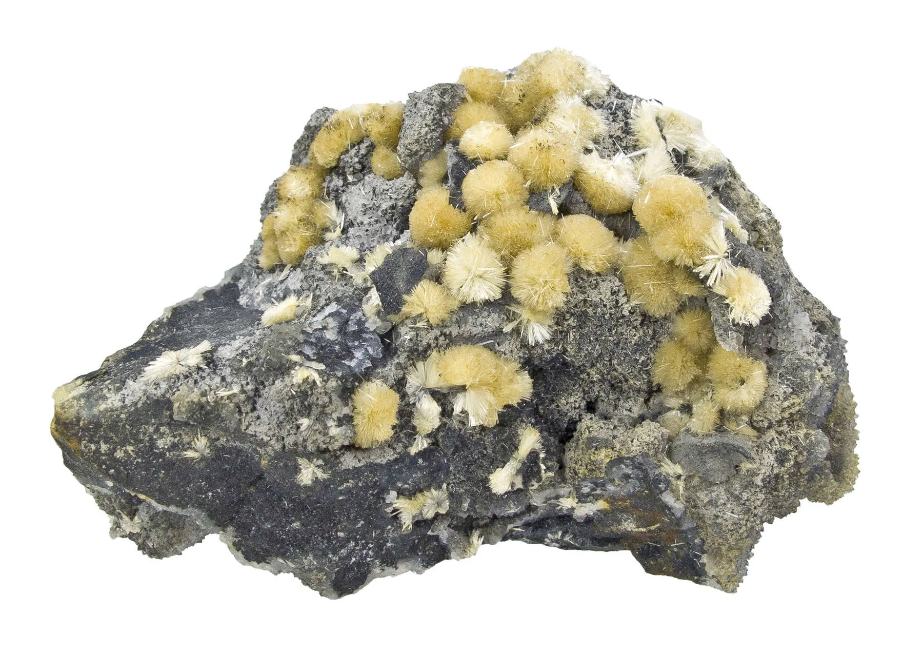 Valentinite - image 6