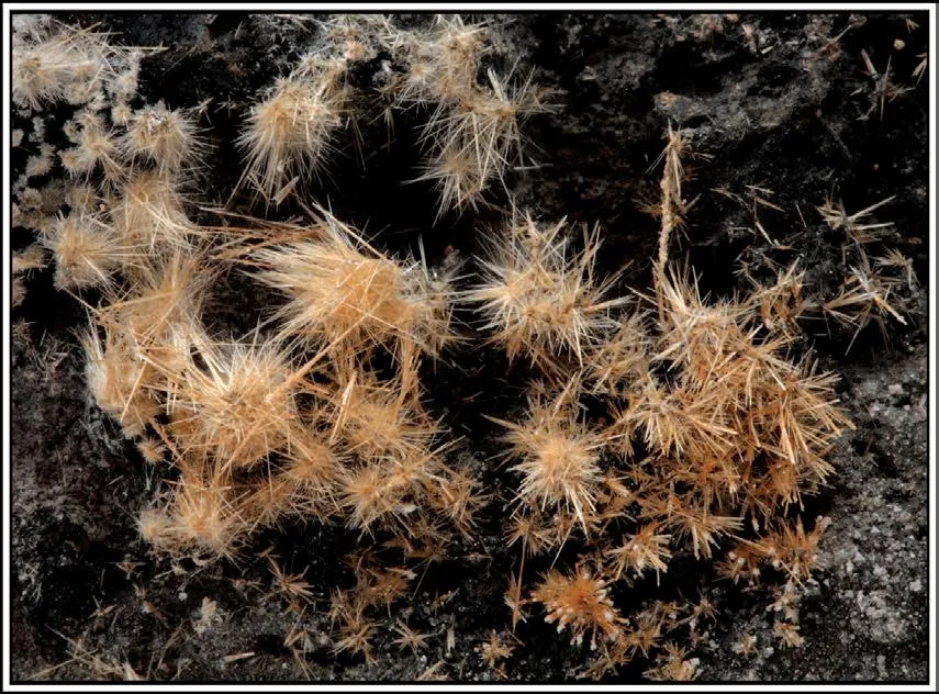 Valentinite image