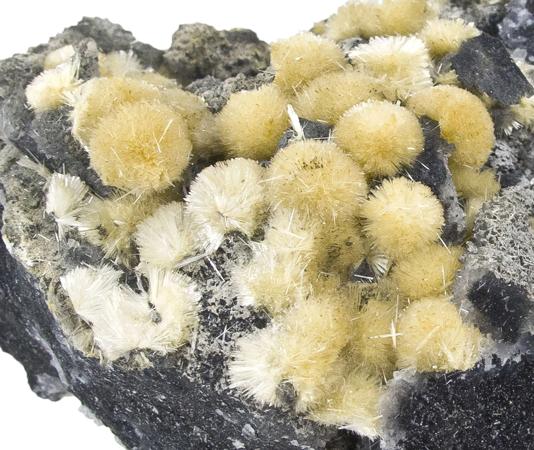 Valentinite - image 2