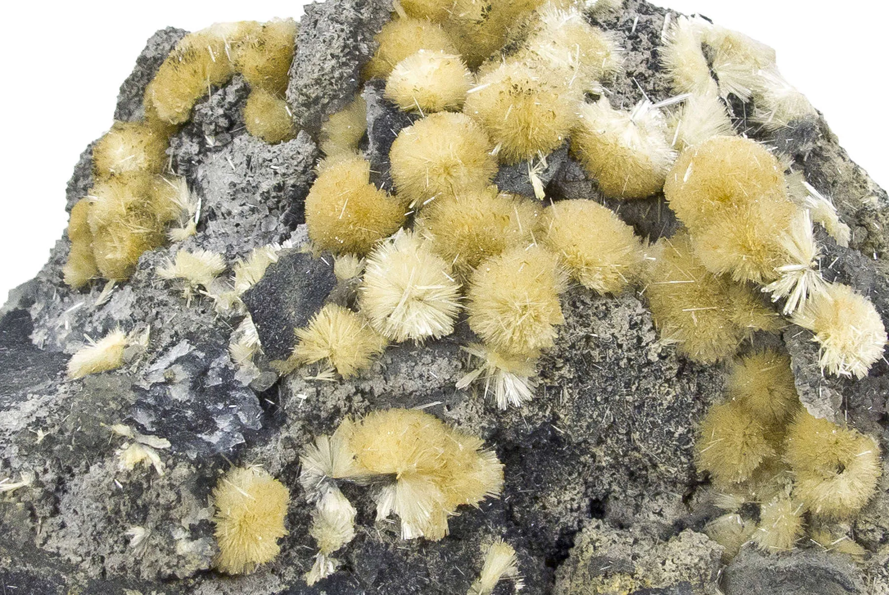 Valentinite - image 7