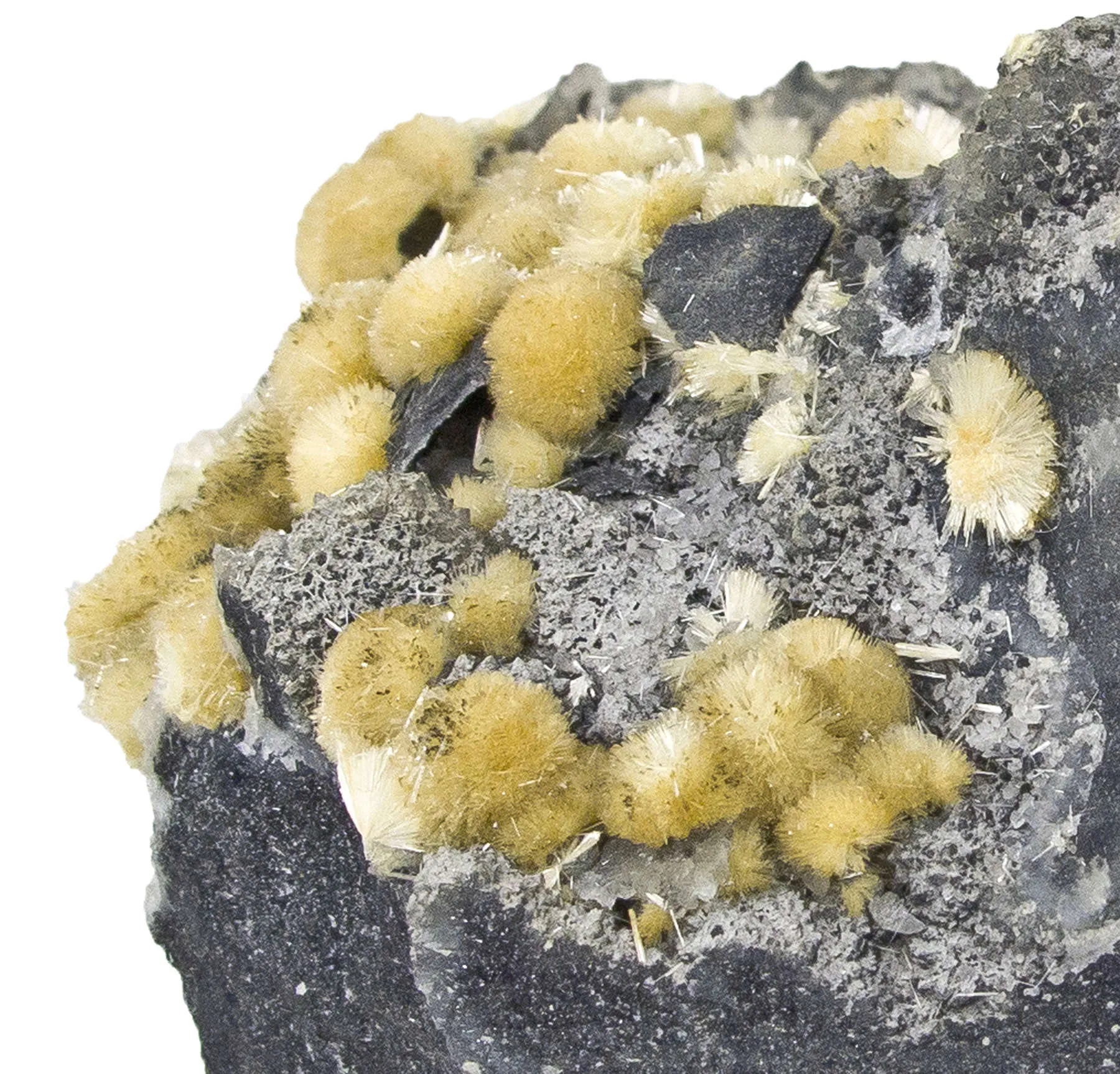 Valentinite - image 4