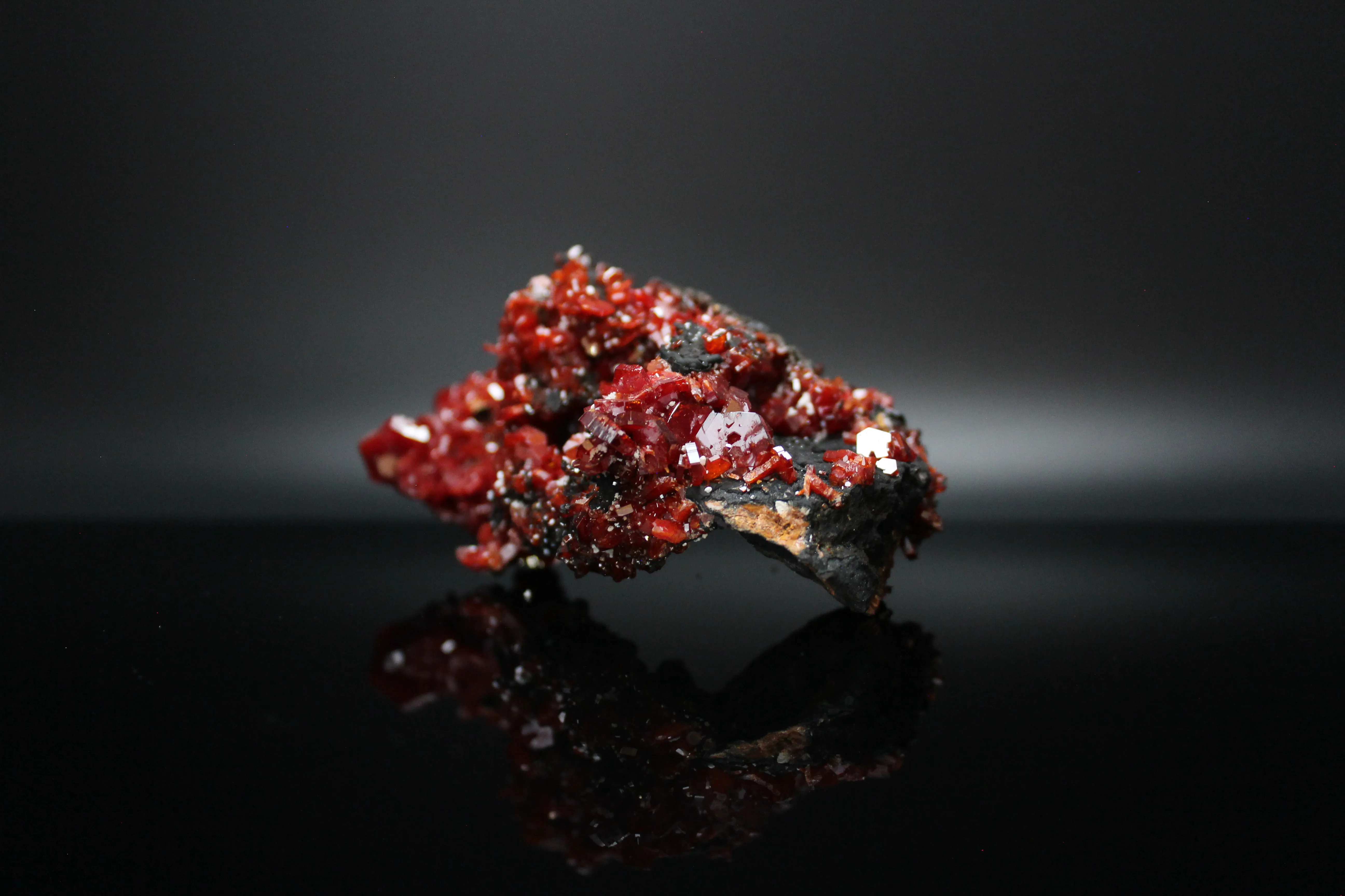 Vanadanite Crystals on black (manganese?) host rock - image 3