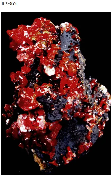 Vanadanite Crystals on black (manganese?) host rock
