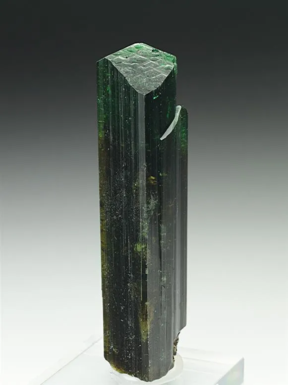 Vanadian Dravite Tourmaline image