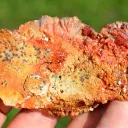 Vanadinite 206 grams - Mibladen, Aït Oufella Caïdat, Midelt Province, Drâa-Tafilalet Region, Morocco - image 5