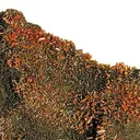 Vanadinite - image 2