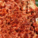 Vanadinite 4500 grams - Mibladen, Aït Oufella Caïdat, Midelt, Drâa-Tafilalet Region, Morocco - image 3