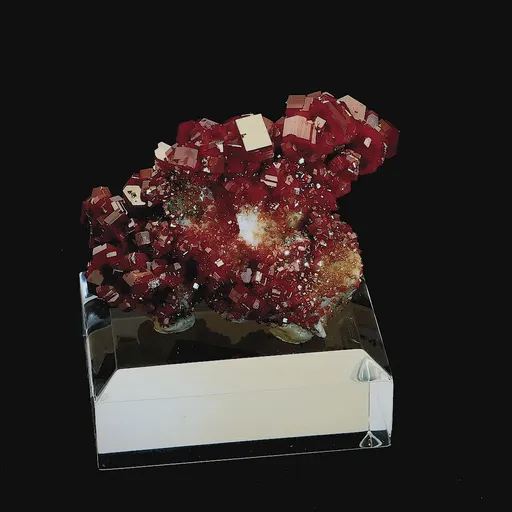 specimen video